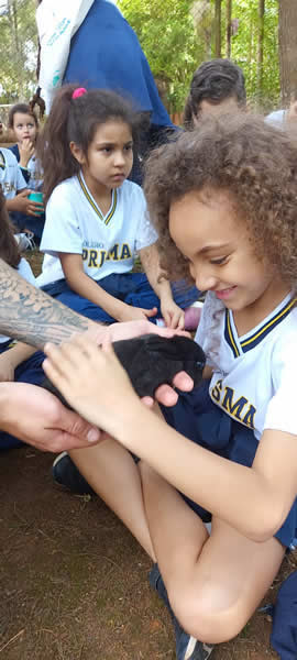 Bicho Mania 2022